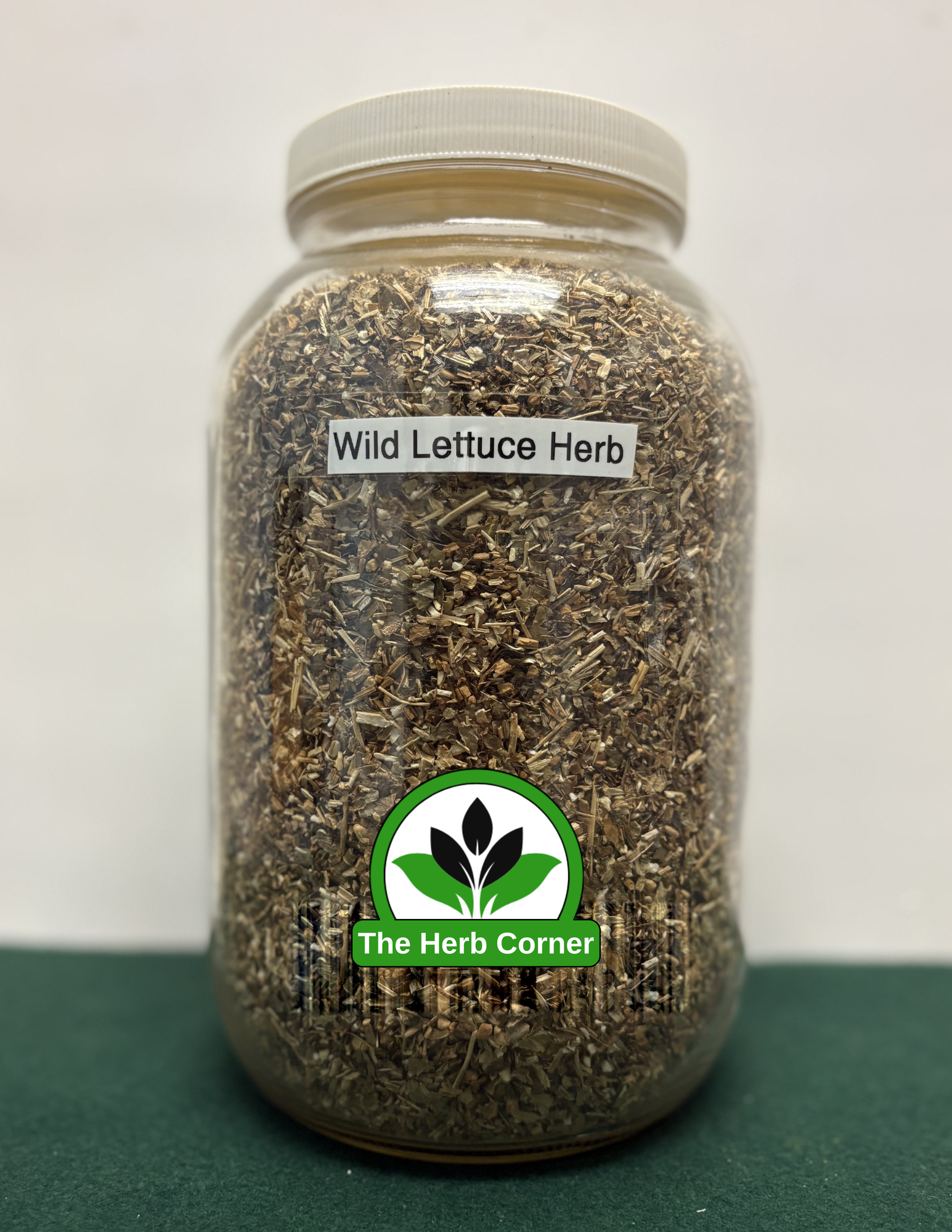wild lettuce herb wild lettuce herb