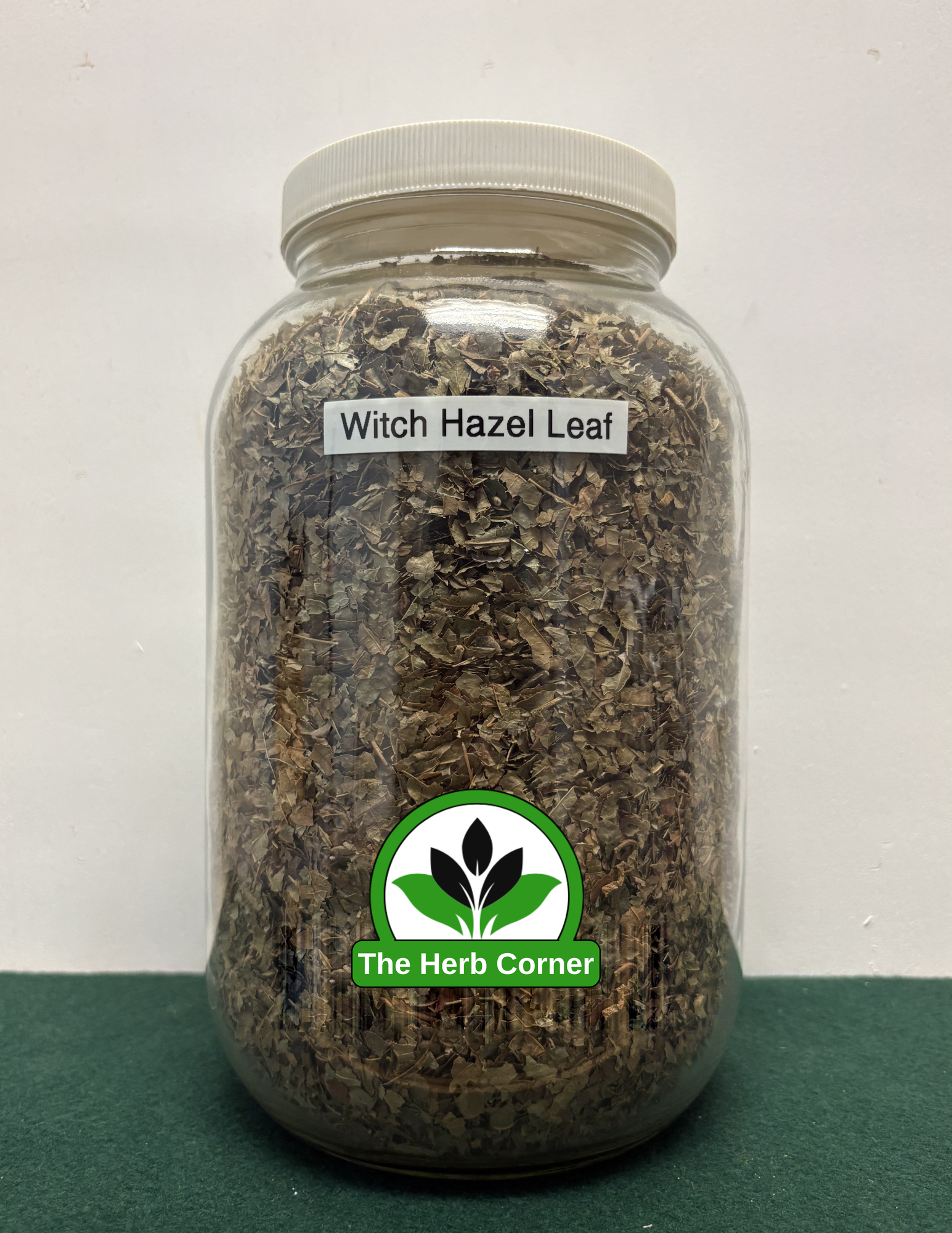 witch hazel leaf 1 witch hazel leaf 1