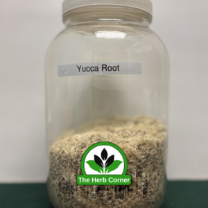yucca root 1