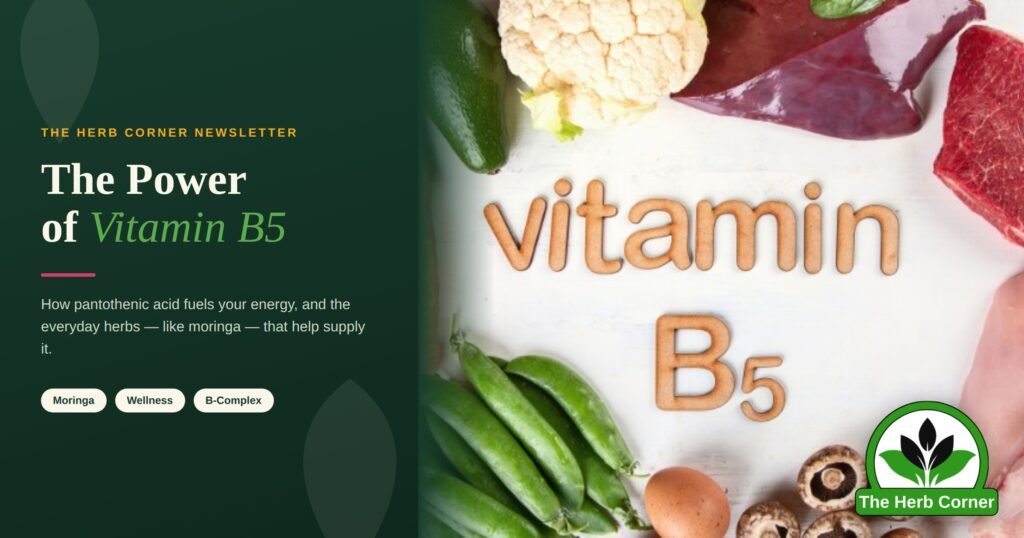 herb corner featured vitaminb5