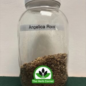 Home Angelica Root C-S (Angelica archangelica)
